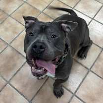 Thumbnail photo of HULK #2