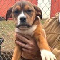 Thumbnail photo of Riley #2