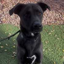 Thumbnail photo of Xeno #2