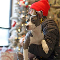 Thumbnail photo of Little Lady #2