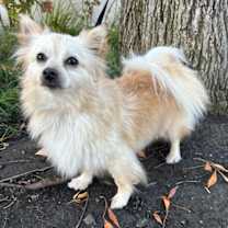 Thumbnail photo of Noelle #1