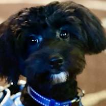 Thumbnail photo of Luke #3