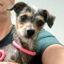 Thumbnail photo of Sassy #2