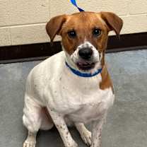 Thumbnail photo of Celeste #1