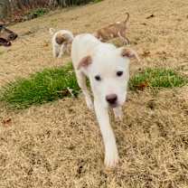 Thumbnail photo of WINTER #2