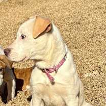 Thumbnail photo of WINTER #3