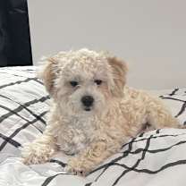 Thumbnail photo of Sweetness  #4