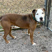 Thumbnail photo of Banks #2