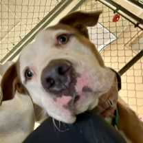 Thumbnail photo of Banks #4