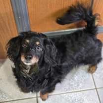 Thumbnail photo of Yeti #4