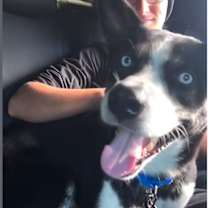 Thumbnail photo of Deino URGENT!! #4