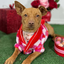 Thumbnail photo of Nora #1