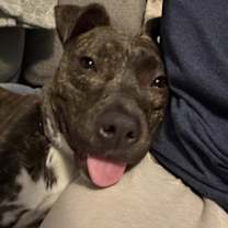 Thumbnail photo of Snoopie #2