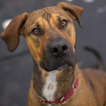 Thumbnail photo of Rodger #1