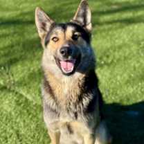 Thumbnail photo of Justice #1