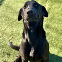 Thumbnail photo of Andrew #2