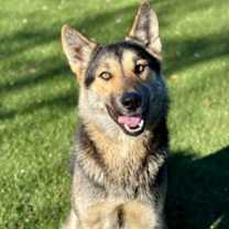 Thumbnail photo of Justice #2