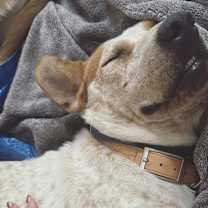 Thumbnail photo of Red #2