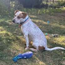 Thumbnail photo of Red #3