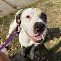 Thumbnail photo of Enoch #4