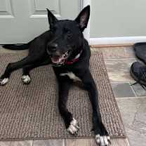 Thumbnail photo of Farley #1