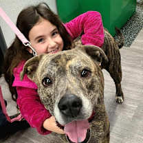 Thumbnail photo of Kingston #1