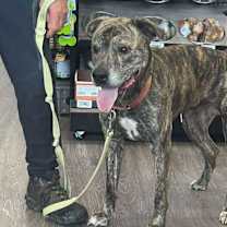 Thumbnail photo of Kingston #3