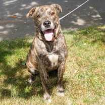 Thumbnail photo of Kingston #4