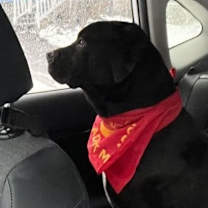 Thumbnail photo of Myles #3