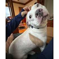 Thumbnail photo of Queenie #4