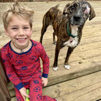 Thumbnail photo of Violet #1