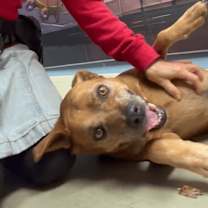 Thumbnail photo of Little Boy #4