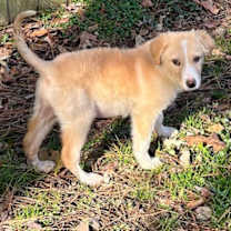 Thumbnail photo of Princess #1