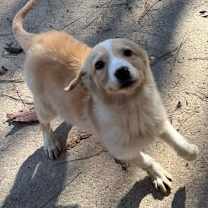 Thumbnail photo of Princess #4