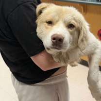 Thumbnail photo of Cuddles #3