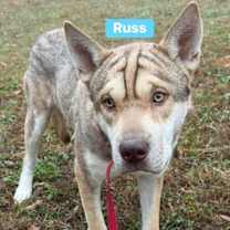 Thumbnail photo of Russ #4