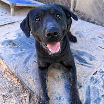 Thumbnail photo of Jodie #2