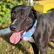 Thumbnail photo of Norma Mae 25-12-019 #3