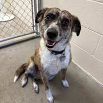 Thumbnail photo of Saige #2