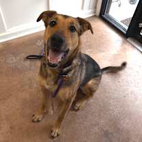 Thumbnail photo of Raye #1