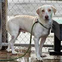 Thumbnail photo of Tid-bit #1