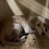 Thumbnail photo of Tid-bit #2