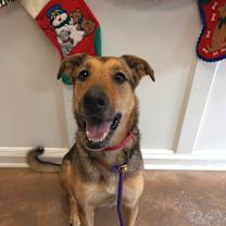 Thumbnail photo of Raye #2