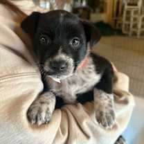 Thumbnail photo of Taylor Swift #4