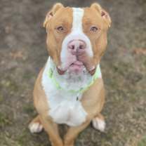 Thumbnail photo of Haze  #3