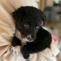 Thumbnail photo of Jelly Roll #4