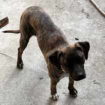 Thumbnail photo of Mia #1