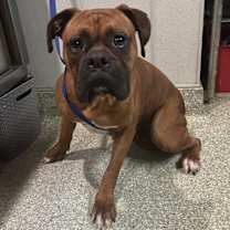 Thumbnail photo of 74041 #2