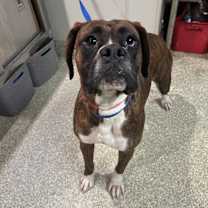 Thumbnail photo of 74040 #1