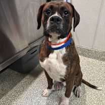 Thumbnail photo of 74040 #2